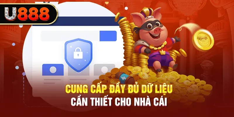 Cung cấp đầy đủ dữ liệu cần thiết cho nhà cái