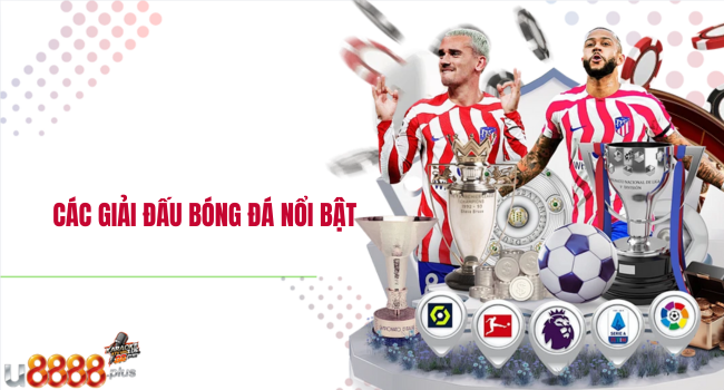 Các giải đấu bóng đá nổi bật