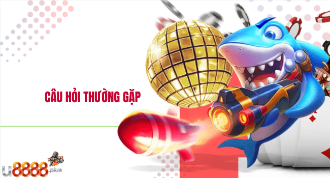 Câu hỏi thường gặp