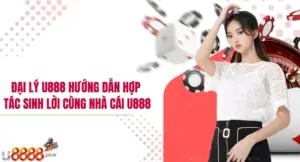 Đại lý U888 Hướng dẫn hợp tác sinh lời cùng nhà cái U888