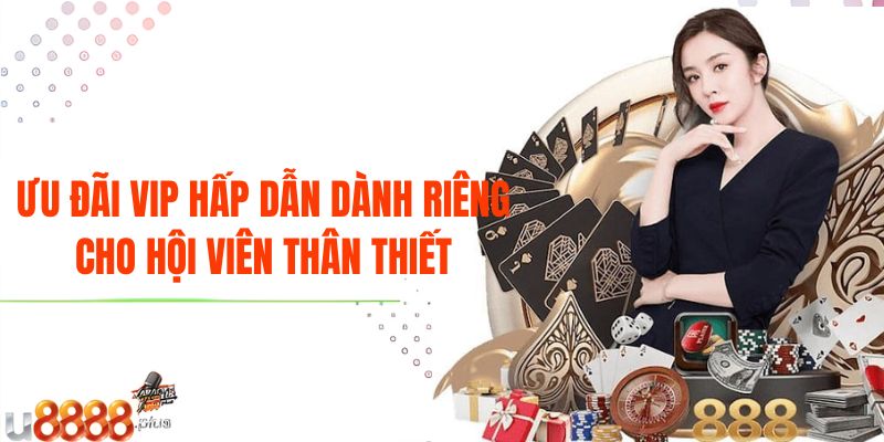 Ưu đãi VIP hấp dẫn dành riêng cho hội viên thân thiết
